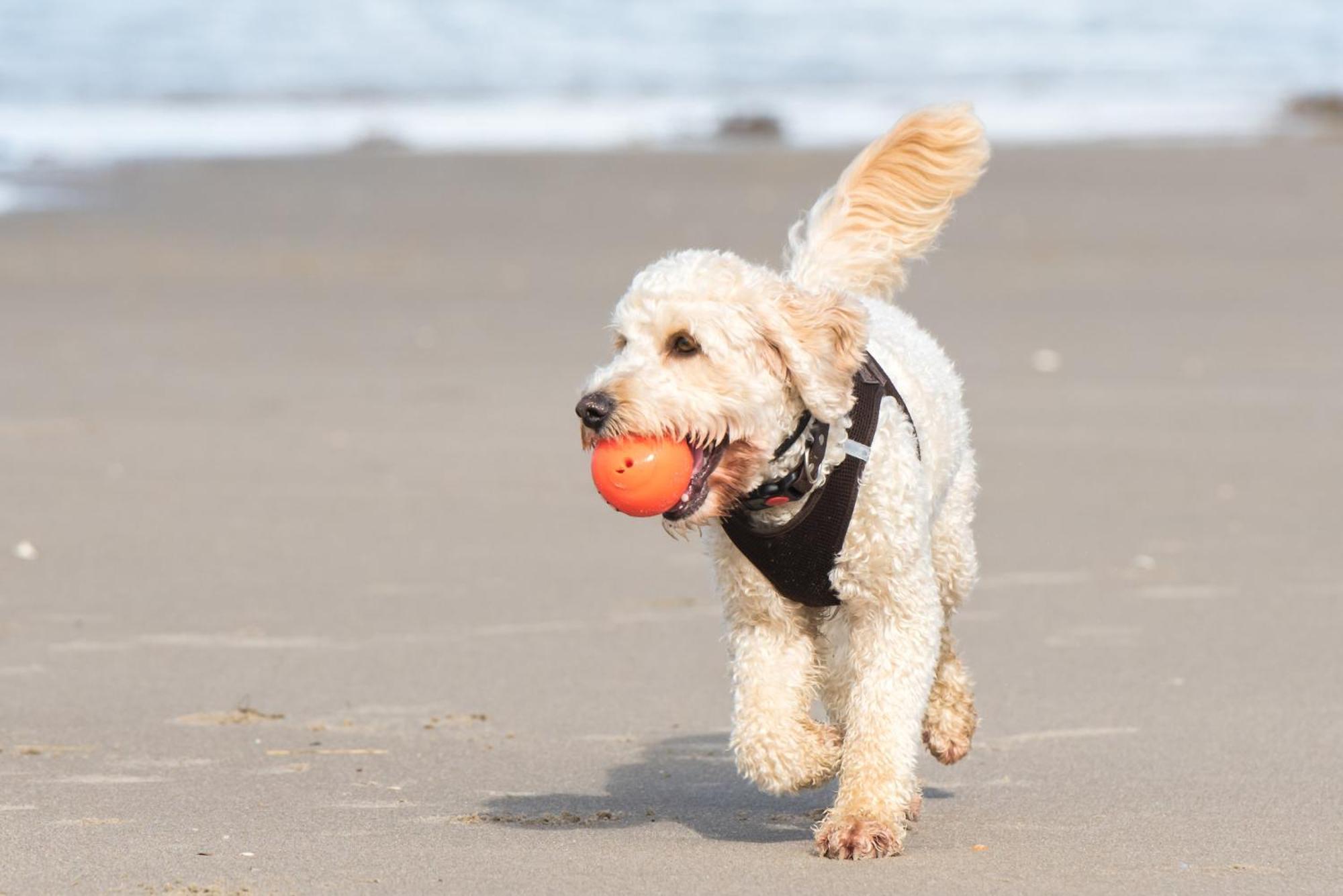 Holiday Inn Express Hilton Head Island By Ihg Luaran gambar